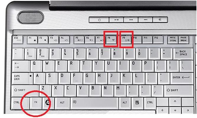 Клавиатура на ноутбуке Toshiba не работает: что делать и как включить
